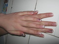 Img 0941