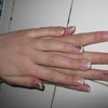 Img 0941