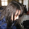 Img 0958