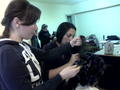 Img10171