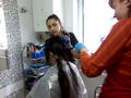 Img10433